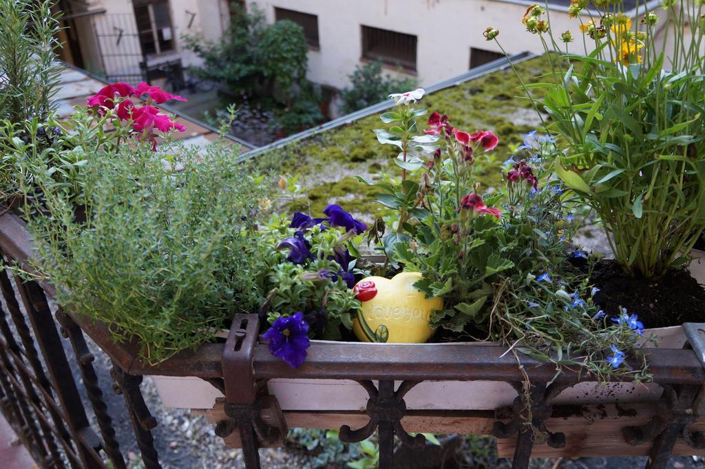Julia'S Home Budapest Luaran gambar
